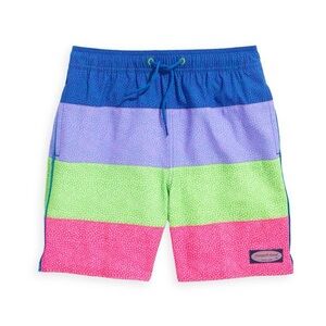 VINEYARD VINES Little Boy's & Boy's Paneled Chappy Swim Trunks